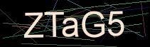 Token